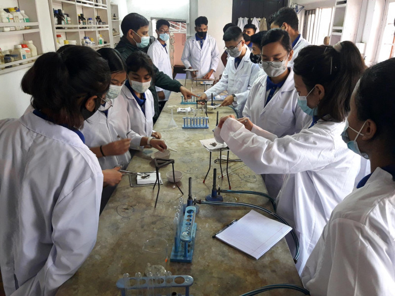 lab